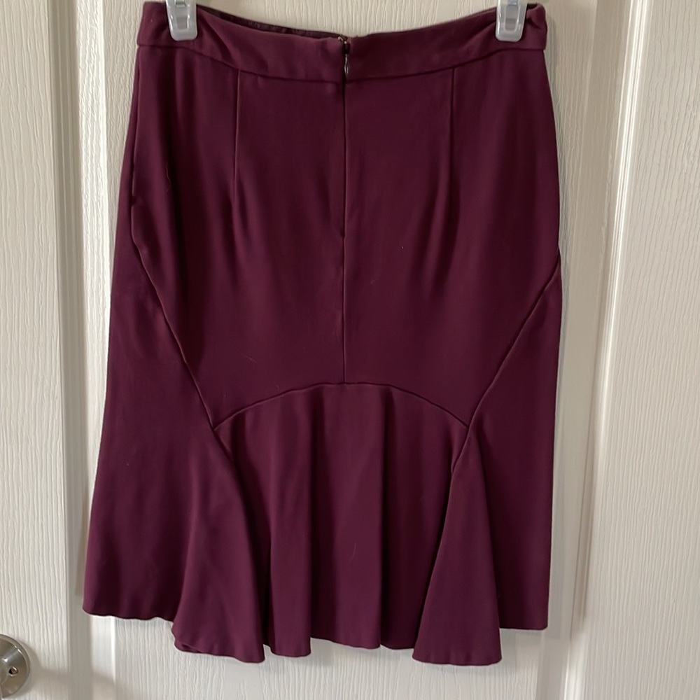 Skirt with Ruffle back - Picture 2 of 4